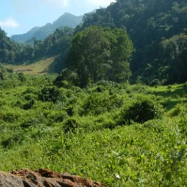 Kuang Si Trek