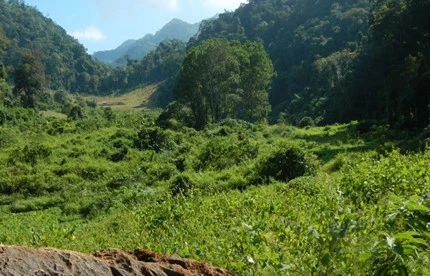 Kuang Si Trek