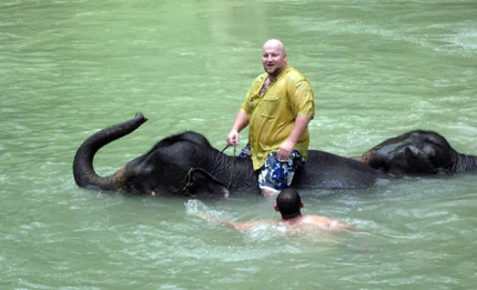Elephant Bathing at Tad Se Waterfall